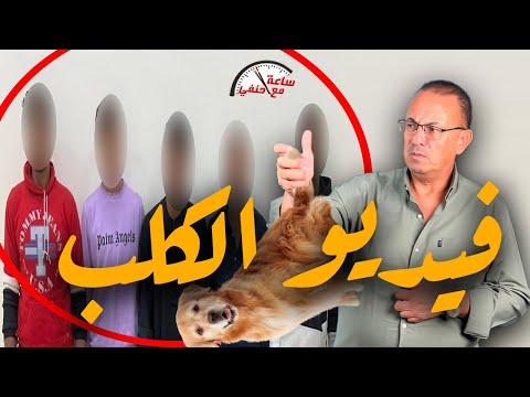 فيديو الكــ ـلــ ـب اللى هز مصر كلها  شوفوا إيه اللى حصل !!