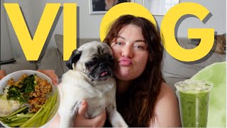 VLOG| Co Nowego? Zakupy Online, Matcha Test, Masażer do Twarzy + Przepis+ DENKO !