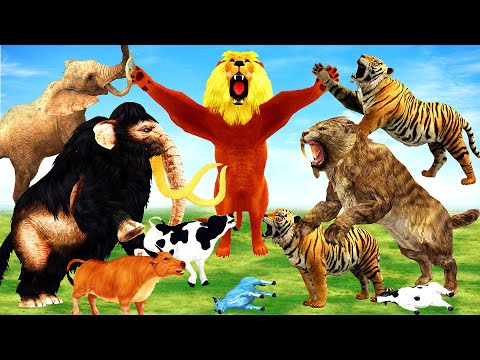 10 Elephants Vs 10 Giant Tiger Lion attack Cow Cartoon saved by Woolly Mammoth Vs Saber Tooth Tiger