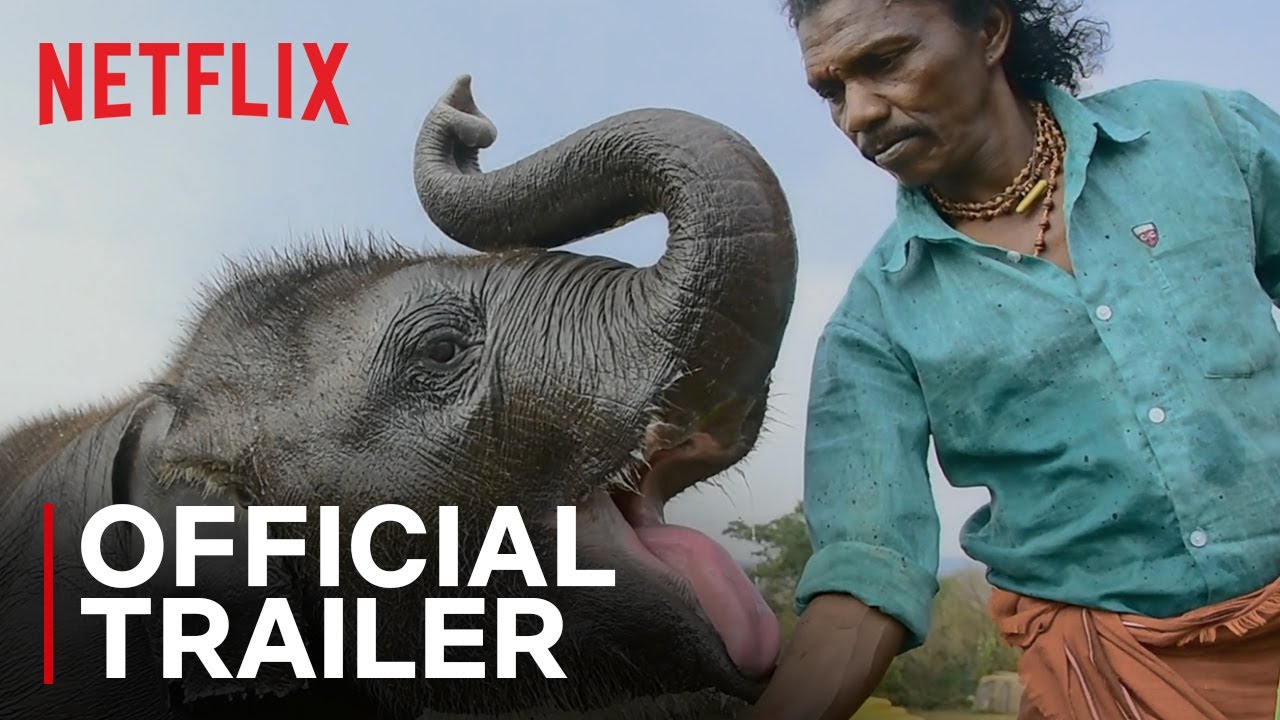 Raghu, il piccolo elefante anteprima del trailer