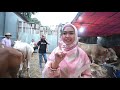 Download Video HUNTING HEWAN QURBAN, KISAH SARIMIT BIKIN SAYANG. 02 Download Video HUNTING HEWAN QURBAN, KISAH SARIMIT BIKIN SAYANG. 02