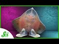 Evolution of Locomotion in Vertebrates