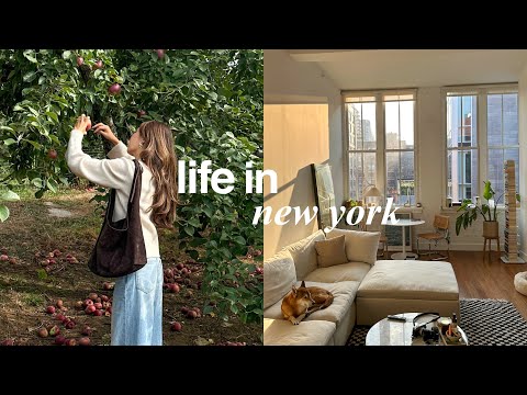 LIFE IN NEW YORK | a cozy and productive week in my life, fall activities in nyc