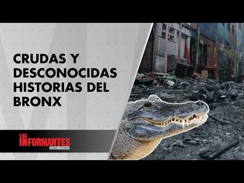 El cocodrilo y otros secretos desconocidos de la temida zona del Bronx en Bogotá - Los Informantes