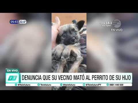 Denuncia que su vecino mató al perrito de su hijo