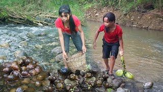 Life in jungle, Snails boiled with Coconut water So delicious food for dinner