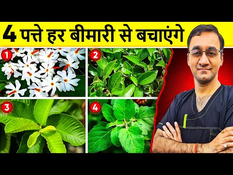 ये पत्ते आपको सैकड़ो बीमारियों से बचाएंगे - Most Effective Leaves For Good health | Healthy India