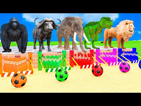 5 Giant Duck Cartoon,Cow,Elephant,Tiger,Lion,Dinosaur,Paint Wild Animals Crossing Fountain Animation