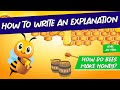 Understanding Explanations and Honey Making
