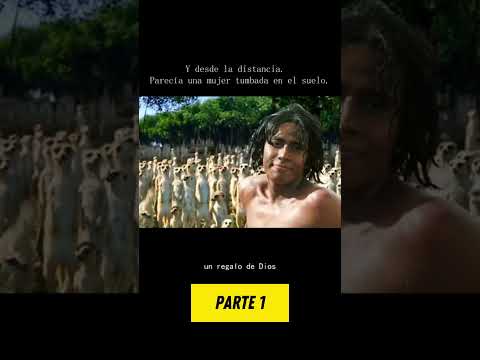 Un niño y un tigre varados en el océano 1