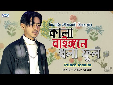 সিলেটী বিয়ের গান | kala Baingoner Dhola Ful | কালা বাইঙ্গনের ধলা ফুল | Prince Josim | Sylhety Gan