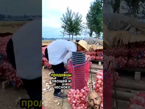 Что бы вы с такими сделали?