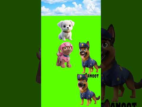 ¿Cuál de estas es mi mamá? 🤯  #shorts #dog