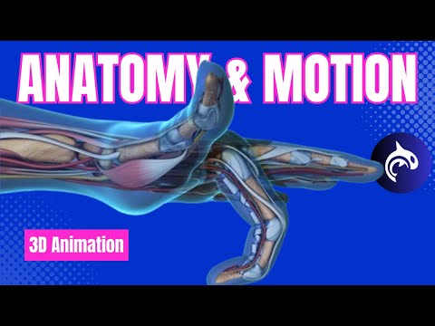 The Marvel of Movement: Exploring Hand Anatomy in Action