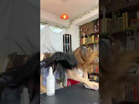 청소교육