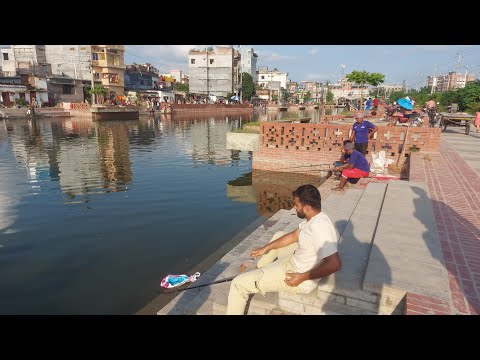 রাজশাহী হাইটেক পার্ক হতে লাইভ মাছ শিকারের দৃশ্য 🎣