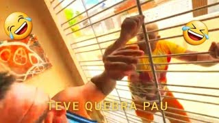 GALO DA EM CIMA DA NAMORADA DE BIRO E ELE PEGA AR PENSE NUM MUIDO | NEGO BIRO