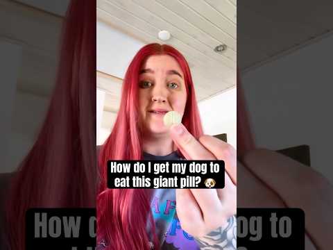 POV: You have a Golden Retriever 🐶 #goldenretriever #pov