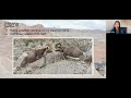 Desert Bighorn Sheep Knowledge Assessment