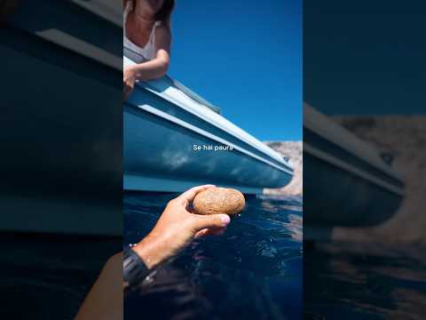 È proprio solo la paura dell’ignoto.. 🌊 #apnea #deepblue #deep #freediving #freedive #ignoto #mare