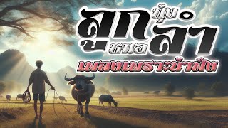 รวมเพลงฮิต ลูกทุ่งหมอลำเพลงเพราะน่าฟัง