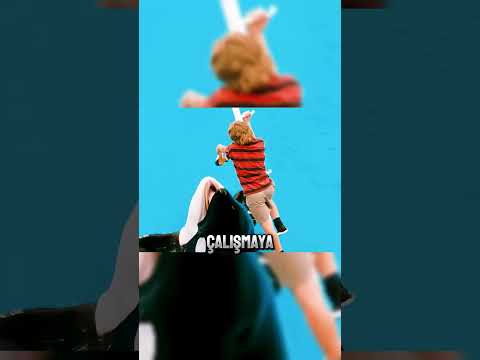 🐋🌊🆘 Dev Balina ile Kurulan Şaşırtıcı Dostluk ve Kurtarma Operasyonu!