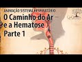 Funções e Trocas Gasosas no Corpo