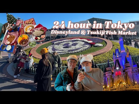 24 Hour in Tokyo Japan - Disneyland and Tsukiji Fish Market