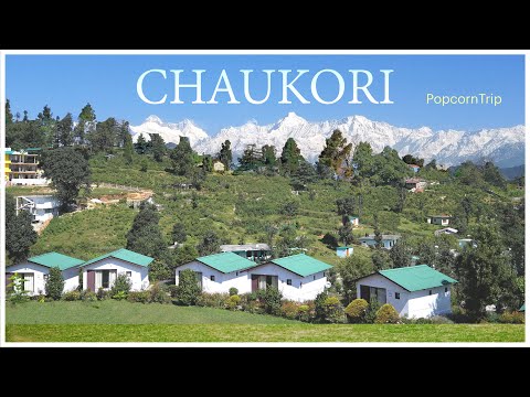 Chaukori चौकोड़ी Travel Guide: Uttarakhand's Hidden Paradise | A Cinematic Journey