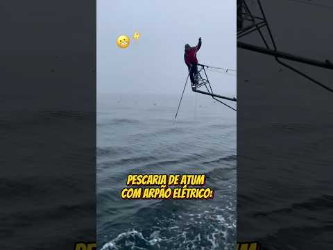 O atum nem reagiu… 🗡️🐟⚡️ #pescaria #pescador #atum #pescando #tuna #fishing #pesca