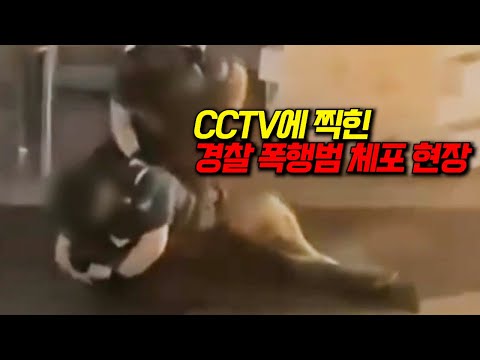 와..미쳤다🔥경찰을 폭행한 스트리트 맨 파이터가 있다고??? CCTV에 포착된 범죄 행각을 분석하는 코멘터리 쇼 몰아보기