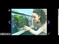 Decomposers and Pond Ecosystems