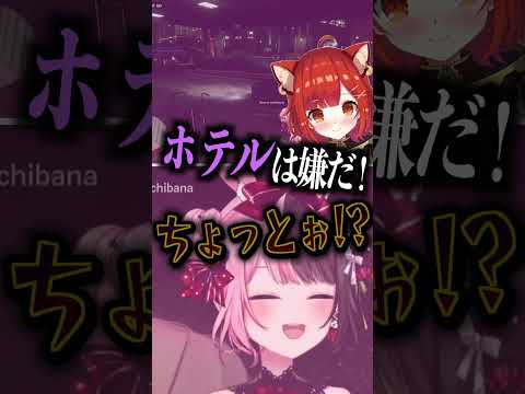 ぷてち「ホ別イチゴ」しんじ「新大久保かな？」　#橘ひなの #ぷてち #しんじさん #ぶいすぽっ #切り抜き #vtuber