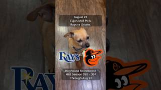 Cujo’s MLB Picks | Tampa Bay Rays vs Baltimore Orioles ⚾ 08-23-2026 #CujoCatches
