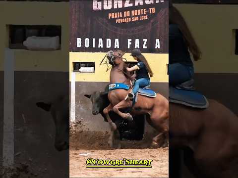 "It's not about how many times you fall, but how many times you get back up stronger. #horse #horses