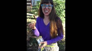 Can You Eat a Cookie That Has Been in Your Coat Pocket Since Last Winter?