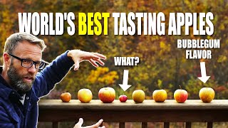 Tasting The Worlds Best Flavored Apples