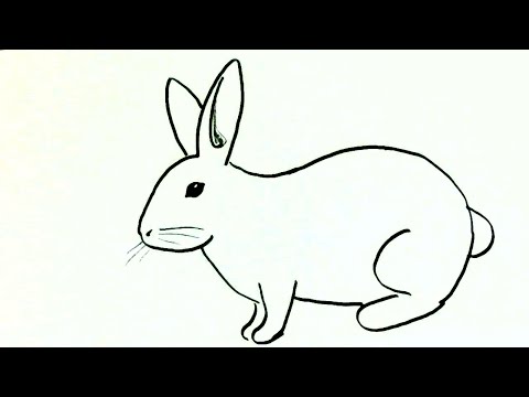How to draw a rabbit or bunny- in easy steps advanced...