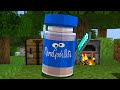 Minecraft Adventure and Nut Powers
