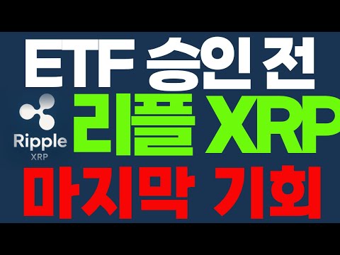 리플 XRP ETF승인 하루만에? 이안에 숨겨진 또 다른 대박 종목