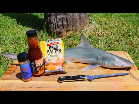 Shark Cookout - Making SHARK NUGGETS at the Beach!