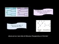 Phylogenetic Tree Concepts