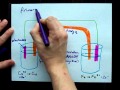 Electric Cell Functions and Processes