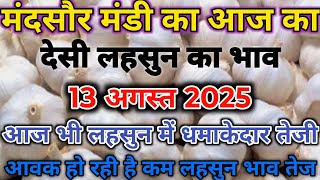 13 अगस्त 2025 मंदसौर मंडी लहसुन भाव।लहसुन भाव में आज भी जोरदार तेजी के साथ खुले बाजार।Mandsaur mandi