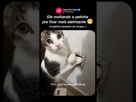 Ele molhando a patinha pra ficar mais eletrizante 😬