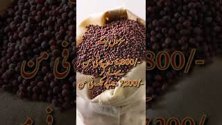 Cotton Rate Today| Wheat Rate| Sarsoon Rate| 9 October #2024 #wheatflour #cotton #2024