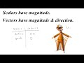 Displacement and Velocity Concepts