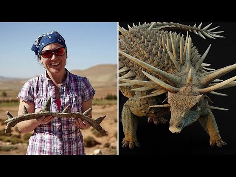 YouTube video thumbnail: 165-Million-Year-Old Spiked Dinosaur With ‘Weaponised Tail’ Discovered in Morocco