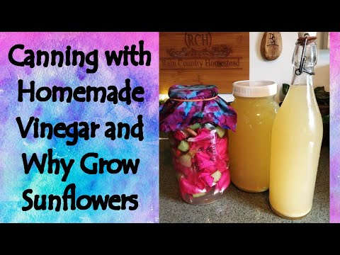Homemade Vinegar for Canning and Why Grow Sunflowers