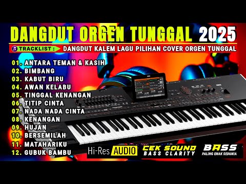 ORGEN TUNGGAL DANGDUT POPULER TERBARU 2025 || LAGU PALING KALEM ENAK BUAT SANTAI